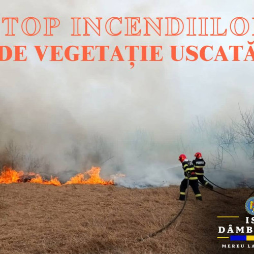 Pompierii damboviteni fac apel la cetățeni: &quot;Nu mai igienizați terenurile prin incendiere!&quot;