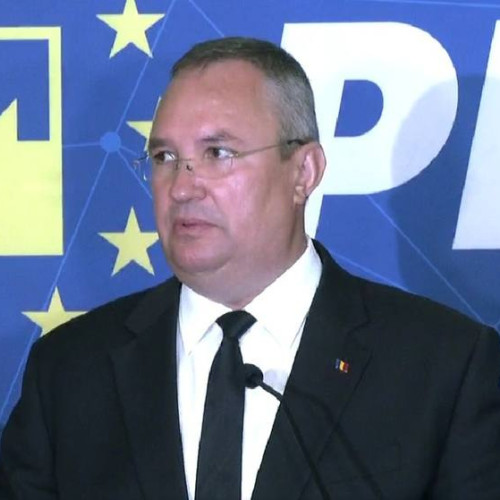 PNL și-a validat candidatul pentru alegerile prezidențiale