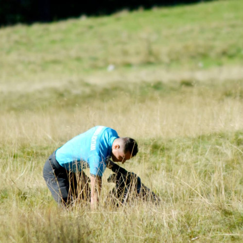 Jandarmii damboviteni se implică în inițiativa de ecologizare &quot;Let`s Do It Romania!&quot;