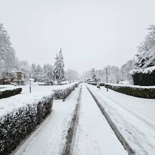 Reabilitarea Parcului Chindia, început posibil anul acesta