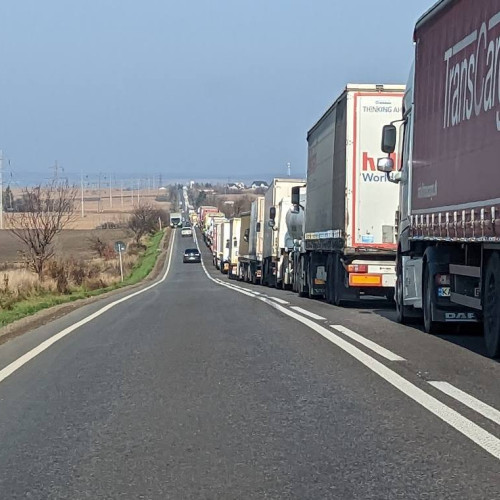 Şoferii de TIR exemptaţi de amenzi pentru lipsa rovinietei la aşteptarea în vămi