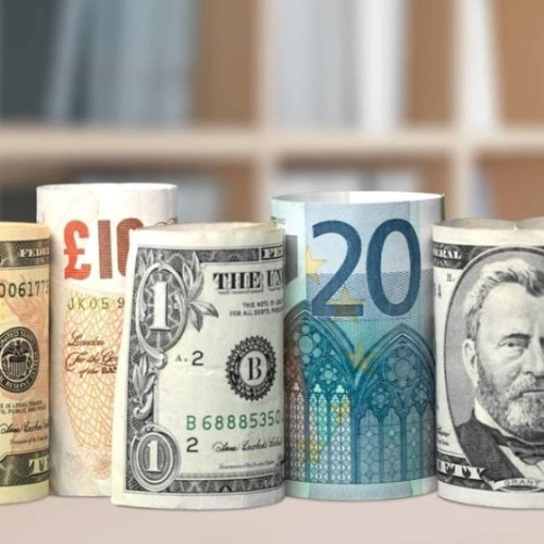 Slovenia va introduce dreptul de a utiliza numerar în Constituție