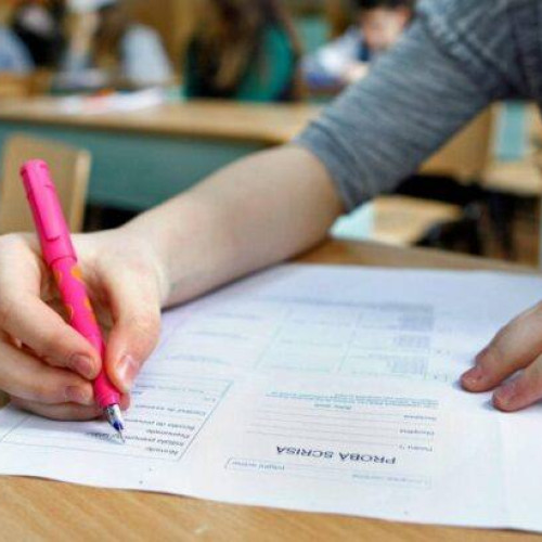 Proba de Limba și Comunicare pentru Elevii de Clasă a VI-a