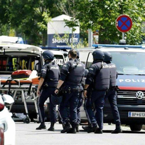 Atac armat la un liceu din Graz, Austria: doi cetățeni români printre victime