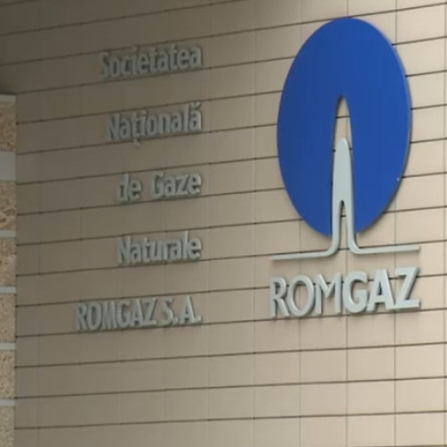 romgaz renunță temporar la procesul de dizolvare a fundatiei Greenpeace românia
