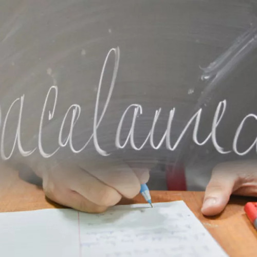 Rezultate și reguli pentru examenul de bacalaureat în județul Dâmbovița