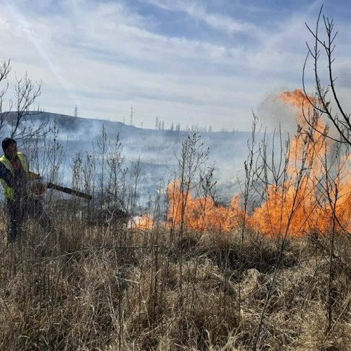 Incendiu de vegetație la Gura Foii - Pompierii au intervenit