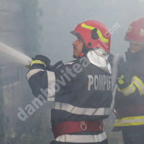 Intervenție de incendiu la Picior de Munte