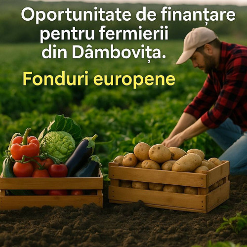 Noi oportunități de finanțare, pentru producătorii de legume din județul Dâmbovița