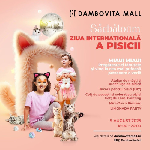 Dâmbovița Mall pregătește o petrecere inedită, de Ziua Internațională a Pisicii