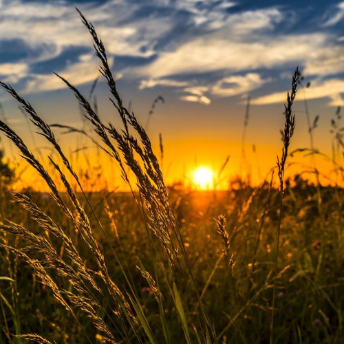 Val de căldură urmat de o ușoară răcire temporară, în județul Dâmbovița. Urmează două săptămâni cu ușoare variații de temperatură, dar fără ploi
