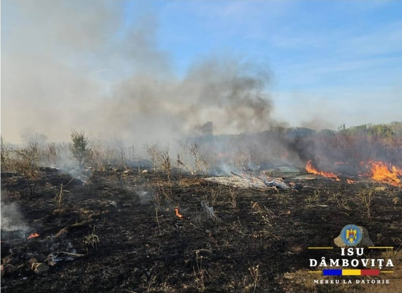 Incendiu de vegetație în Târgoviște și Tărtășești, cu intervenții ale pompierilor