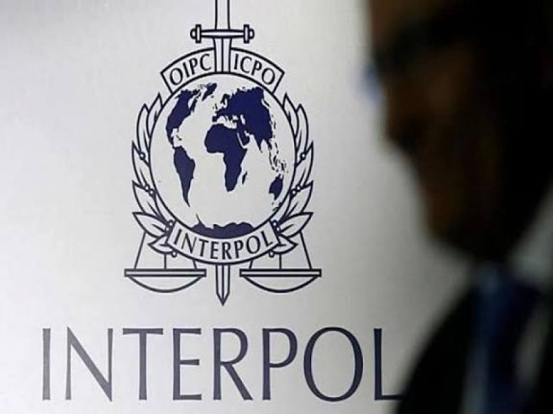 Interpol a descoperit aproape 300 de milioane de pastile de metamfetamină în operațiuni internaționale