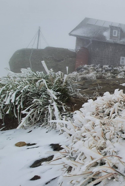 Cod portocaliu de ninsori abundente în zona montană a Bucegilor