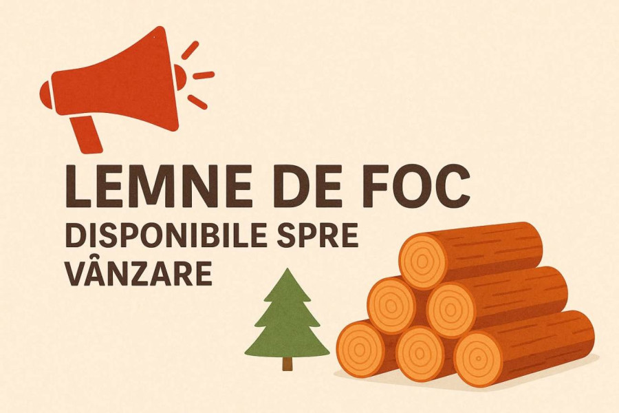 Locuitorii din Răcari pot cumpăra lemne pentru iarnă direct de la Ocolul Silvic