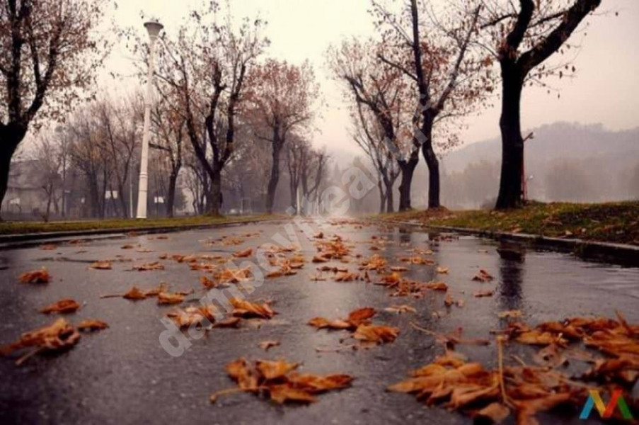 Vreme mai rece și ploi în Muntenia în primele zile ale lunii octombrie 2025