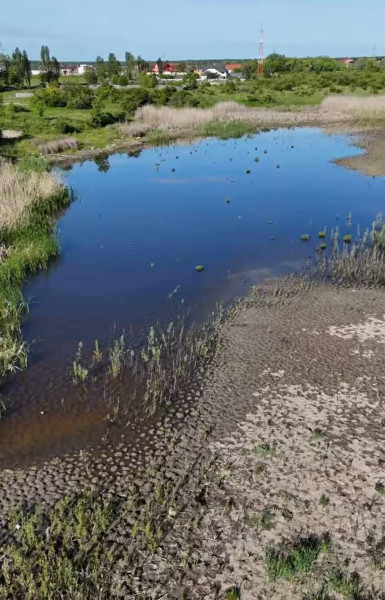 Târgoviște lansează proiectul pentru o nouă grădină publică și reabilitarea lacului Priseaca