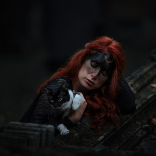 Oraș din Catalonia interzice temporar adopția pisicilor negre înainte de Halloween