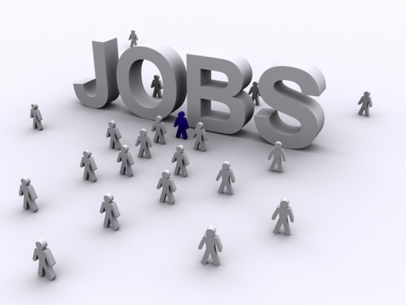 151 locuri de muncă vacante disponibile prin rețeaua EURES România
