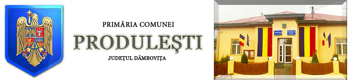 Consiliul Local Produlești dezbate proiecte importante pentru comunitate