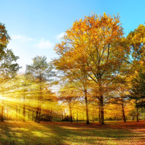 ANM anunță temperaturi ușor mai ridicate și precipitații deficitare în următoarea lună