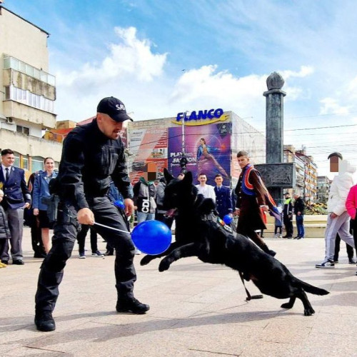 Polițiștii din Dâmbovița aniversează alături de cetățeni: expoziții, activități și exerciții demonstrative în onoarea lor