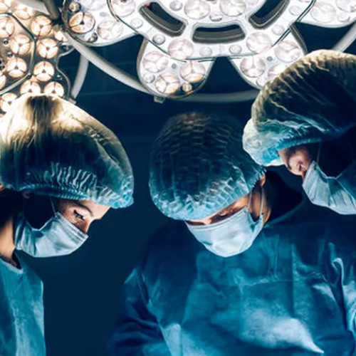 Transplant de rinichi de porc cu succes la un pacient într-o premieră medicală