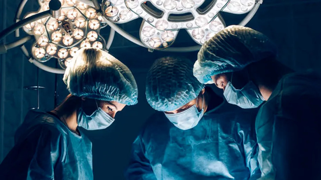 Transplant de rinichi de porc cu succes la un pacient într-o premieră medicală