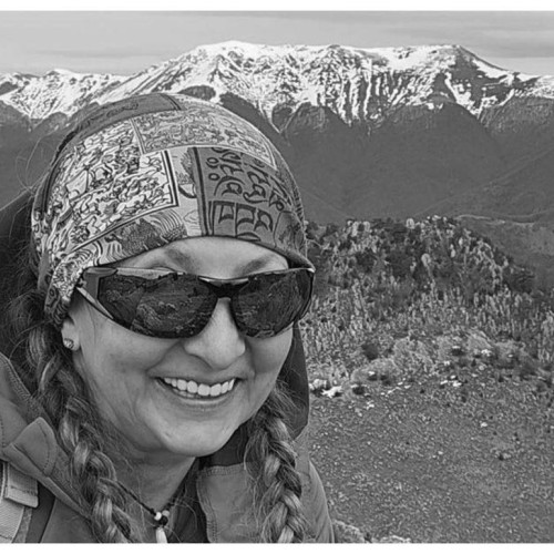 Image Description